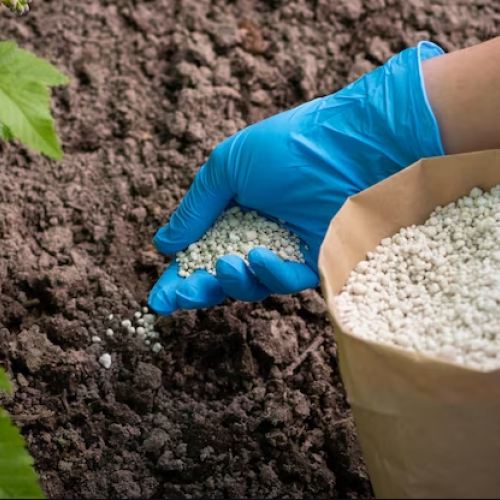 Fertilizers and Soil Additives